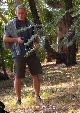 Erol Ardaman